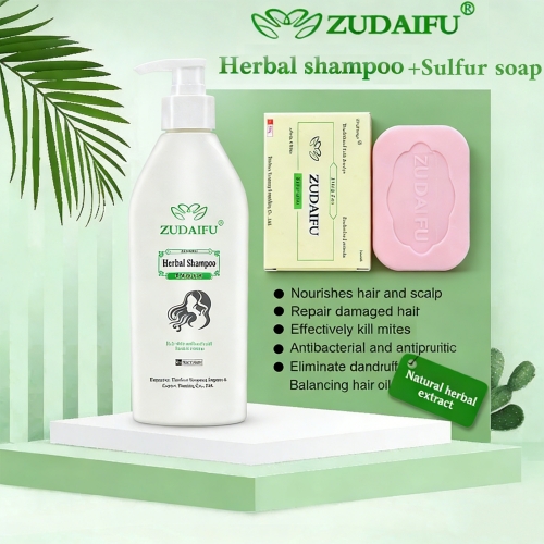 ZUDAIFU Herbal Hair Care Set: Natural Care for Your Scalp